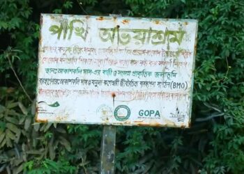পাবনায় আকাশকলি দাসের পাখির অভয়াশ্রম সংরক্ষণের নির্দেশ হাইকোর্টের