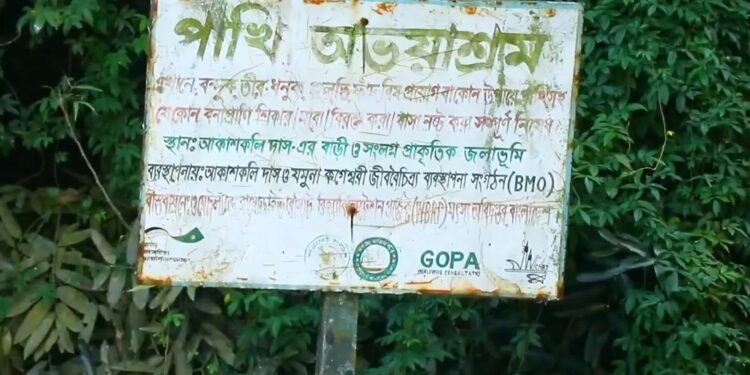 পাবনায় আকাশকলি দাসের পাখির অভয়াশ্রম সংরক্ষণের নির্দেশ হাইকোর্টের
