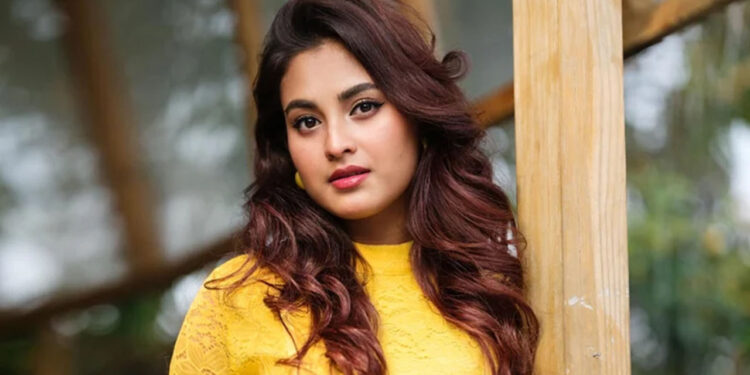 পাঁচ বছর পর ধারাবাহিকে তটিনী