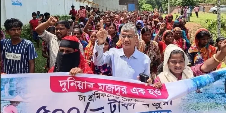 দৈনিক ৫০০ টাকা মজুরির দাবিতে ফটিকছড়িতে চা শ্রমিকদের বিক্ষোভ