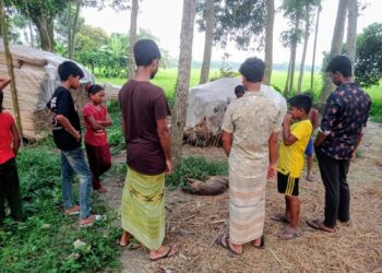 লোকালয়ে ঢুকে নারী-শিশুসহ ১১ জনকে কামড়ে আহত করলো পাগলা শিয়াল