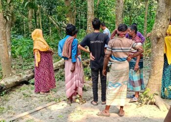 চাটমোহরে গাছ কাটতে গিয়ে প্রাণ গেল দিনমজুরের