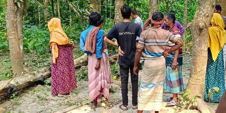 চাটমোহরে গাছ কাটতে গিয়ে প্রাণ গেল দিনমজুরের