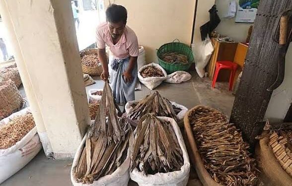 বাংলাদেশের বাণিজ্যিক সামুদ্রিক শুঁটকিতে মাইক্রোপ্লাস্টিকের উপস্থিতি শনাক্ত