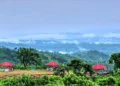 বৃহস্পতিবার বিকেল ৪টার মধ্যে পর্যটকদের সাজেক ছাড়ার নির্দেশ প্রশাসনের